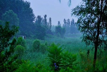 054A9F28-2CFC-421E-9EBE-D22825C21526/L0/001