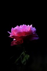 8F5D960A-96BF-448B-A09B-3E10AF1F72F9/L0/001