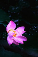 AA891A7A-F681-4E5A-BC03-D7FA1D74E2EE/L0/001