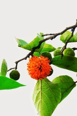 0B060873-D0F8-4DFA-A243-E044F92A1DD0/L0/001