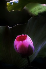 0D58F1A3-93DA-4140-93F9-394550F21AC5/L0/001