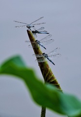 A024711F-5BA1-41B2-967C-9CC39F5C14B1/L0/001