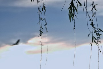 5C41D31A-8E3B-4DD2-A8AF-040AF9C9E7DF/L0/001