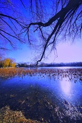 2060C393-457E-404C-98F7-36679B9072C9/L0/001