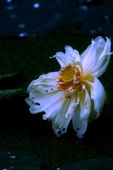 92194496-F820-400E-BE40-1BE3F95DD77A/L0/001