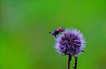 B324979C-A5C4-4CB1-A2C2-CD0D167512A0/L0/001