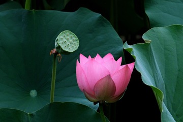 762BB7FF-2FD4-4842-A5B3-7F8A15818A99/L0/001