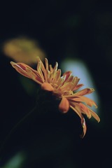 5F48E15F-0D95-4FFF-870F-3C0942EE6721/L0/001