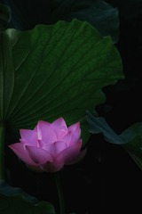 B582AA17-0418-4BD5-B05D-04E2C6D20EE0/L0/001