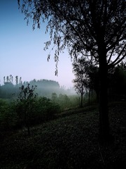 62009D9A-316A-4010-A34B-BAEDF76D5BC1/L0/001