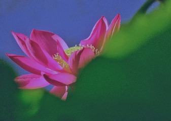 0278F602-222D-49F9-8945-497D6F8EF42E/L0/001