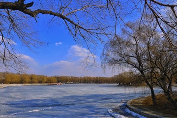 623CCDCE-2F3D-46A3-9F80-C0F40CC10566/L0/001