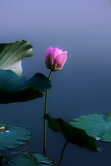 C917EE29-A6C7-4E65-97DF-59132634EEBB/L0/001