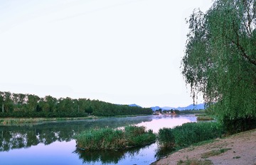 053D17D4-FFB6-4F36-B244-DF75818764DA/L0/001