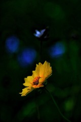 2841F5B9-95A1-43F1-939F-DF24EF12924E/L0/001