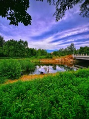 11729712-8832-4AE9-844E-59C0CB51AF85/L0/001