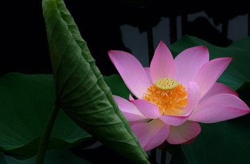 A89EAE10-E7A1-46FB-94FF-3351DB5E8C25/L0/001
