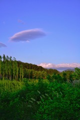 8F0A28C3-66D8-40D0-B7E9-57919464E777/L0/001