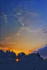 0C16F016-1158-44E4-B2B2-B7CD548359C9/L0/001