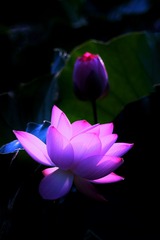 070FA36C-82A2-42FA-BDD2-F4CB38FDD6CA/L0/001