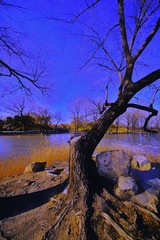 7BFC9DF6-C0A9-467F-B844-1A50FB63B350/L0/001