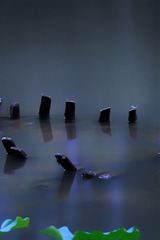 0D753618-18B3-4F23-8403-35C702300245/L0/001