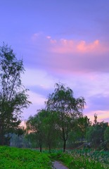 A0978E4B-2D0D-410E-B419-3DA3CE0B7B97/L0/001