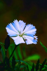 09172D6A-117E-42D1-B3CC-43F60126B9B4/L0/001