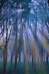 4B8FC248-F36E-4EAB-A897-ABDBD29434F0/L0/001
