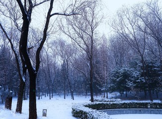 9764F5F1-DC6E-498E-8566-163CC09E0BB1/L0/001