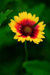 D6D9B50E-2492-473B-B034-3C00345A5B81/L0/001