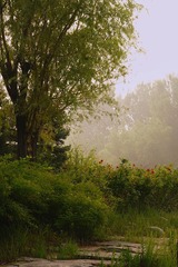05723432-0C37-40F4-92DB-55C61BD59DBA/L0/001