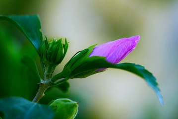 3D50D820-3DC2-454D-9BF7-4441106415E0/L0/001