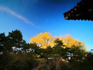 1C609277-7CC9-4DA8-B4DF-7E963C5BC422/L0/001