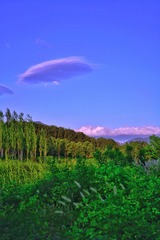 D071311D-18B8-4A22-805F-719738B30F60/L0/001