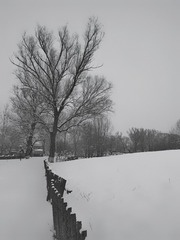 B01F8241-C584-4A32-B855-654170AD4216/L0/001