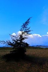 0933FD61-B9B2-4CFF-9ACE-CD04997E7787/L0/001