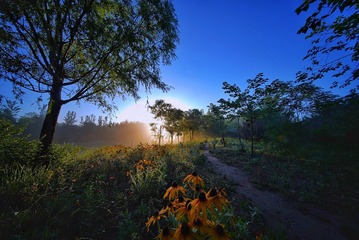 59B0BDFD-31BB-42AE-9138-DB769F945BD5/L0/001
