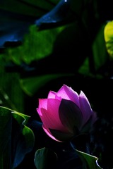 5518D864-43F1-4E54-BF84-E6AEAFC8A0F5/L0/001