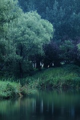C4096B86-0BBB-49D2-822B-AC2C42859B3E/L0/001