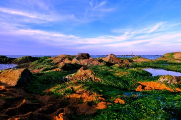 C1F95561-5E60-479B-B9D9-B5CFACB8CCEC/L0/001