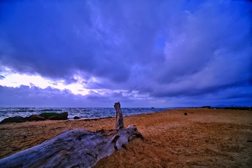 03CE9004-D35A-40A5-A566-0C257DDEAD5B/L0/001