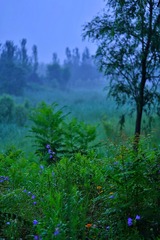 DC1DCBEB-BB49-4D66-8EE1-66538116C0E5/L0/001