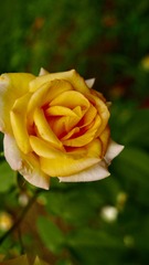 0A1956F2-5BE2-4256-A965-392370F8ABF8/L0/001
