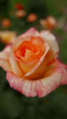 9259CF04-0D86-4A09-BDD7-9BFDB5B72E56/L0/001