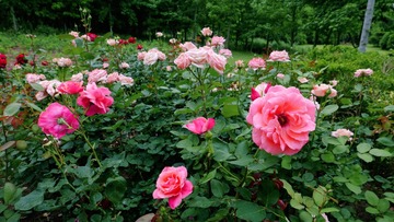 2F0D071F-B83B-4DF9-941D-1254150A10DA/L0/001