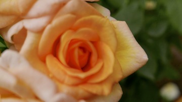 D7ED6625-4BCE-49F4-B8B1-C7E6B5AB0D3A/L0/001