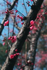 A10D4AF5-40F5-45A1-B25F-006E0B1C1EA6/L0/001