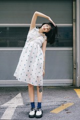 SL_04920