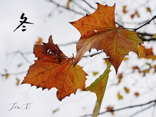 F5871DDA-7B61-40B4-9767-A2D25A7D7558/L0/001